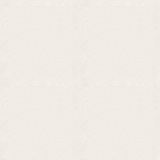 COPOLA-31