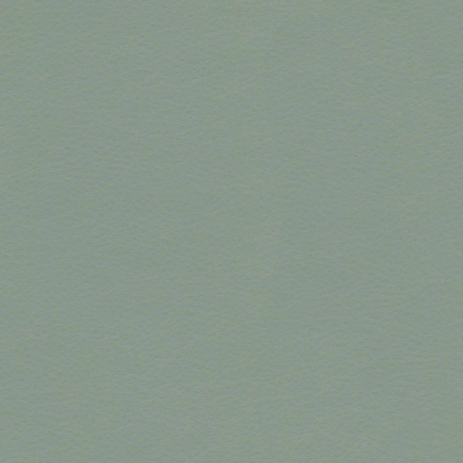 Copola-21