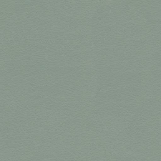 Copola-21