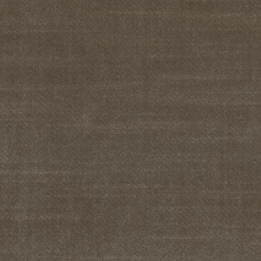PORCINI-07
