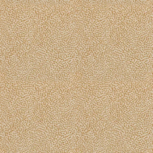 SPOT DOT-03.jpg
