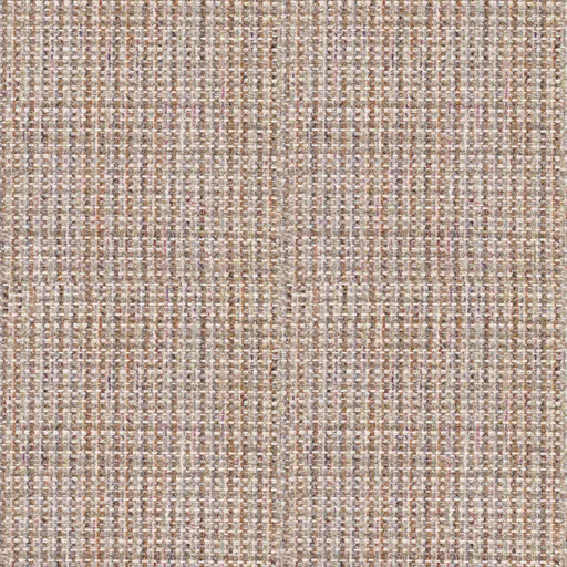 Clove-08